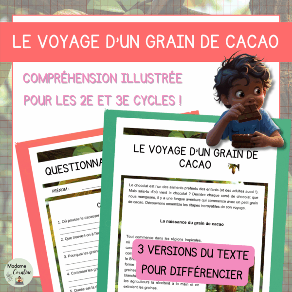 Compréhension de lecture - Le voyage d'un grain de cacao