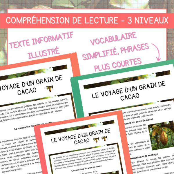 Compréhension de lecture - Le voyage d'un grain de cacao – Image 2