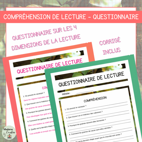 Compréhension de lecture - Le voyage d'un grain de cacao – Image 3