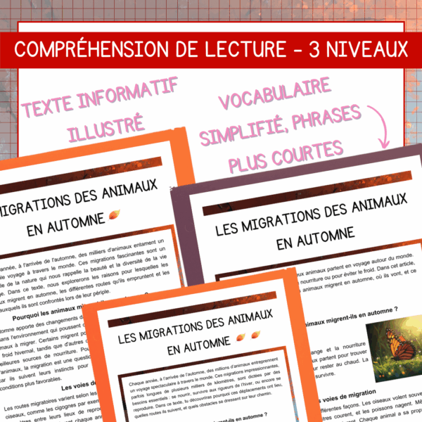 Compréhension de lecture - Les migrations des animaux à l'automne – Image 2