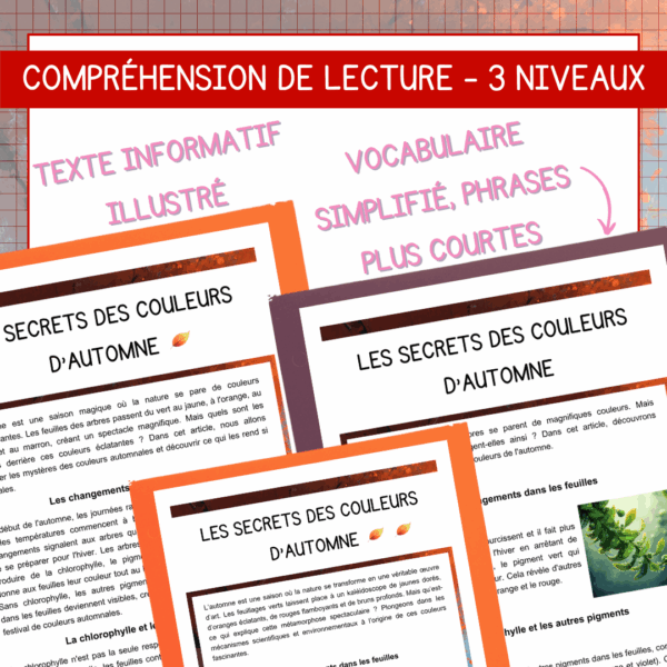 Compréhension de lecture - Les secrets des couleurs de l'automne – Image 2