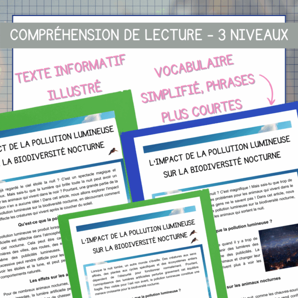 Compréhension de lecture - Jour de la Terre - L'impact de la pollution lumineuse sur la biodiversité nocturne – Image 2
