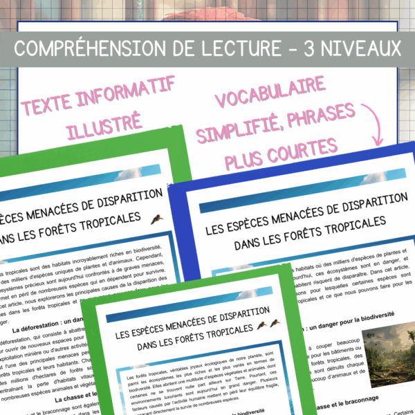 Compréhension de lecture - Jour de la Terre - Les espèces menacées de disparition dans les forêts tropicales – Image 2