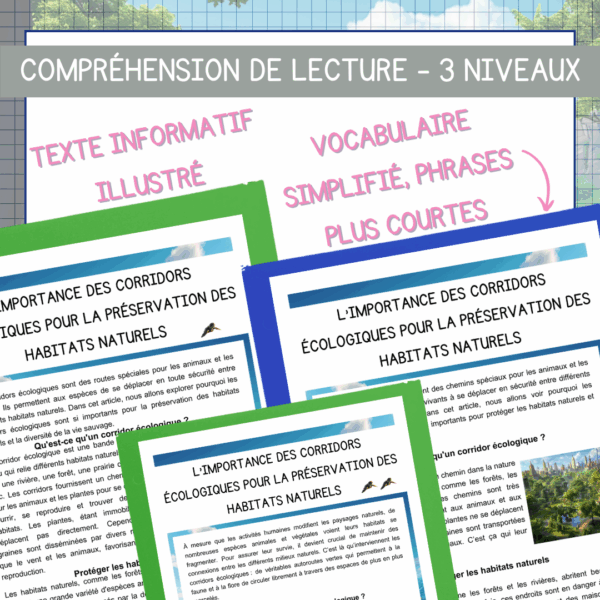 Compréhension de lecture - Jour de la Terre - L'importance des corridors écologiques pour la préservation des habitats naturels – Image 2