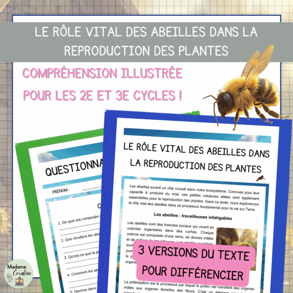 Compréhension de lecture - Jour de la Terre - Le rôle vital des abeilles dans la reproduction des plantes