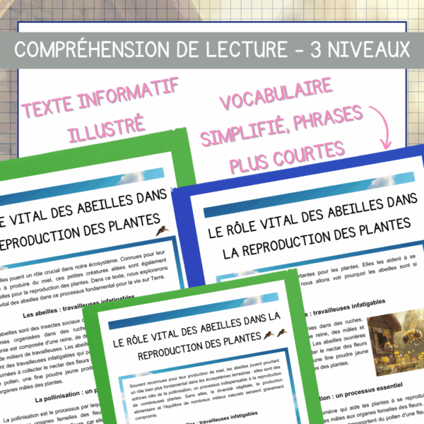 Compréhension de lecture - Jour de la Terre - Le rôle vital des abeilles dans la reproduction des plantes – Image 2