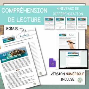 Compréhension de lecture - Le trésor des Babajiens