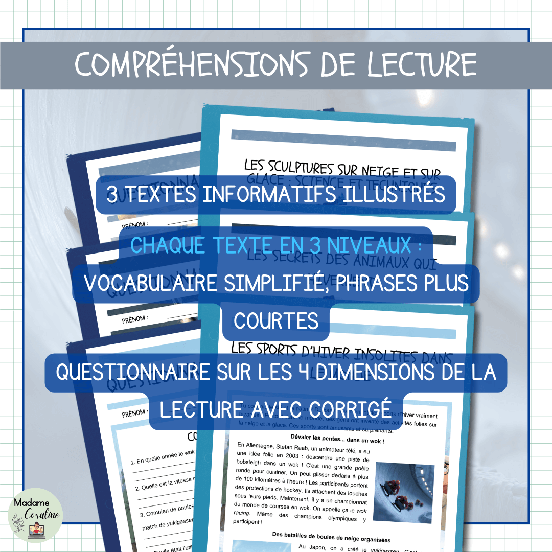 Ensemble de compréhensions de lectures sur l'hiver différenciées et illustrées en 3 niveaux