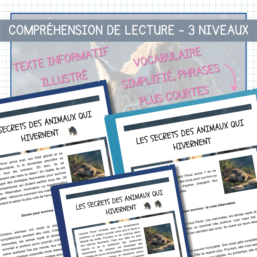 Compréhension de lecture sur l'hiver sur les animaux qui hivernent en 3 niveaux